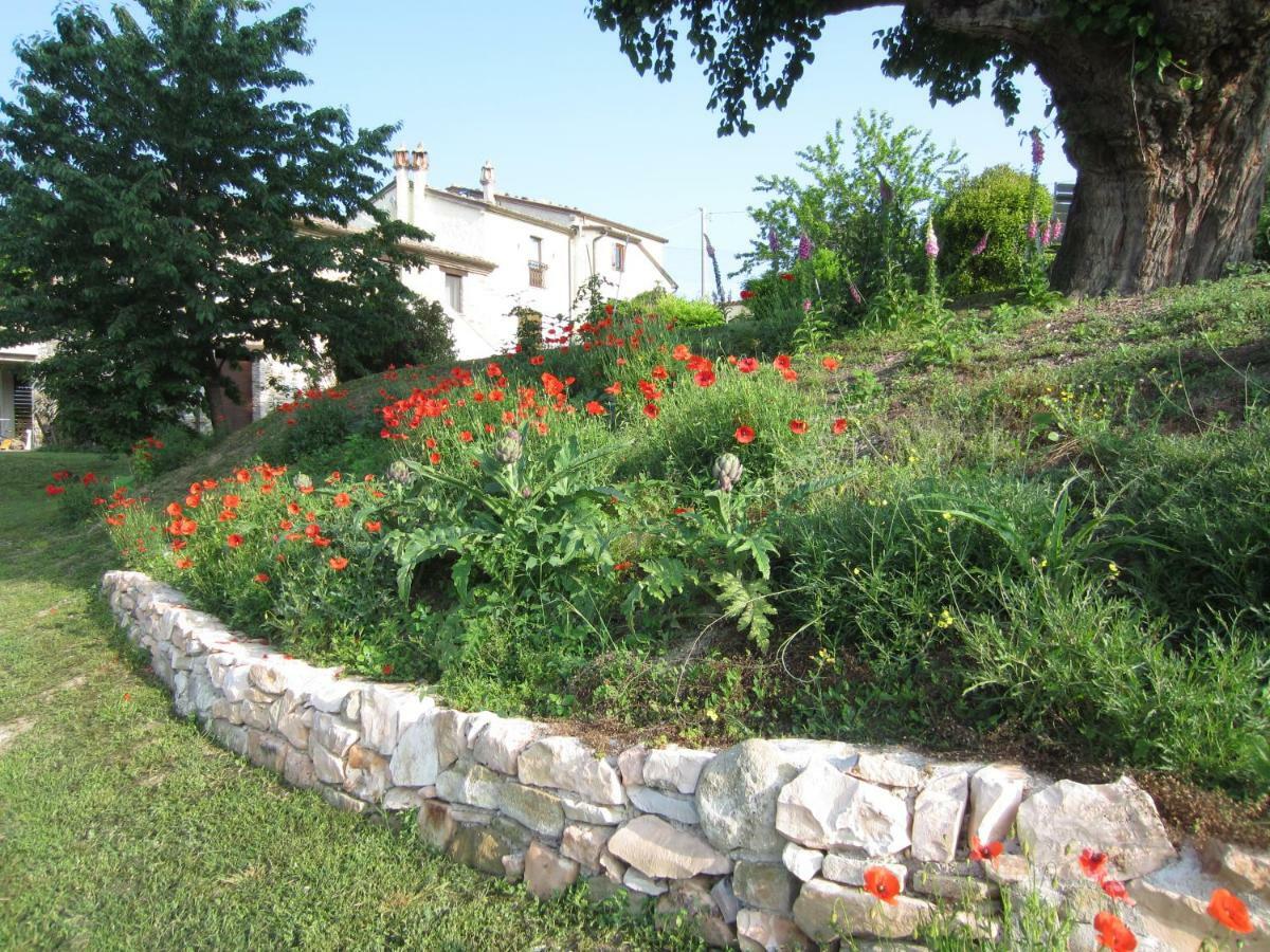 Casa Dei Sogni D'Oro Apartment San Pietro  Bagian luar foto